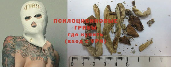 прущие крисы Верея