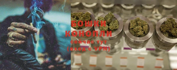 прущие крисы Верея