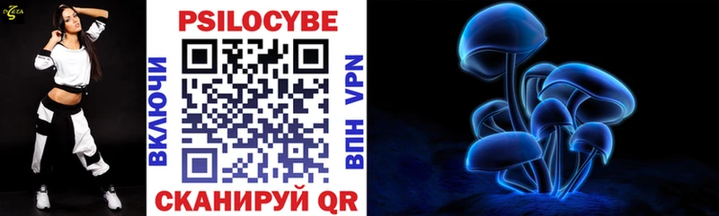 Псилоцибиновые грибы мицелий  купить наркотик  Рузаевка 